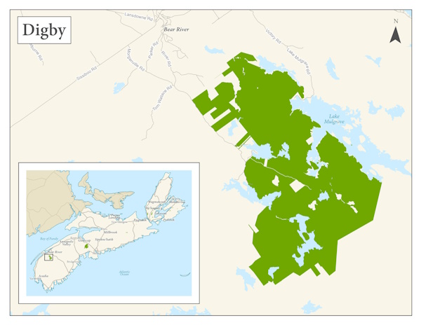 Mimaju Nsuti The Mikmaq Forestry Initiative